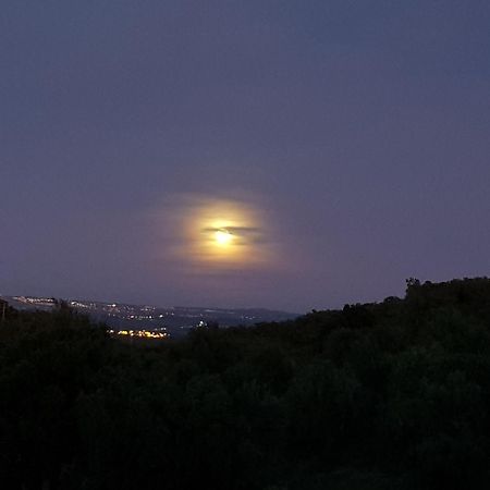 Quinta De Evoramonte Βίλα Estremoz Εξωτερικό φωτογραφία