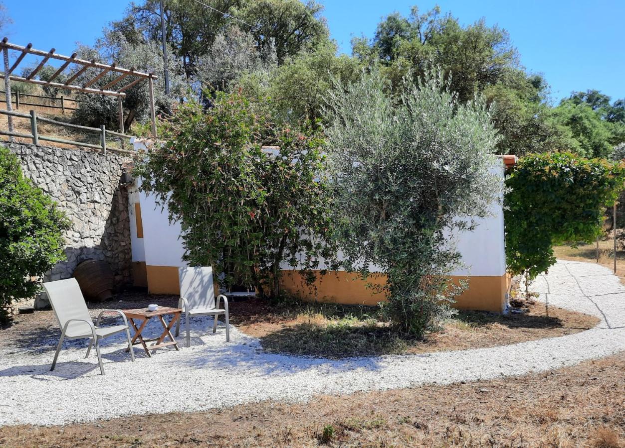 Quinta De Evoramonte Βίλα Estremoz Εξωτερικό φωτογραφία