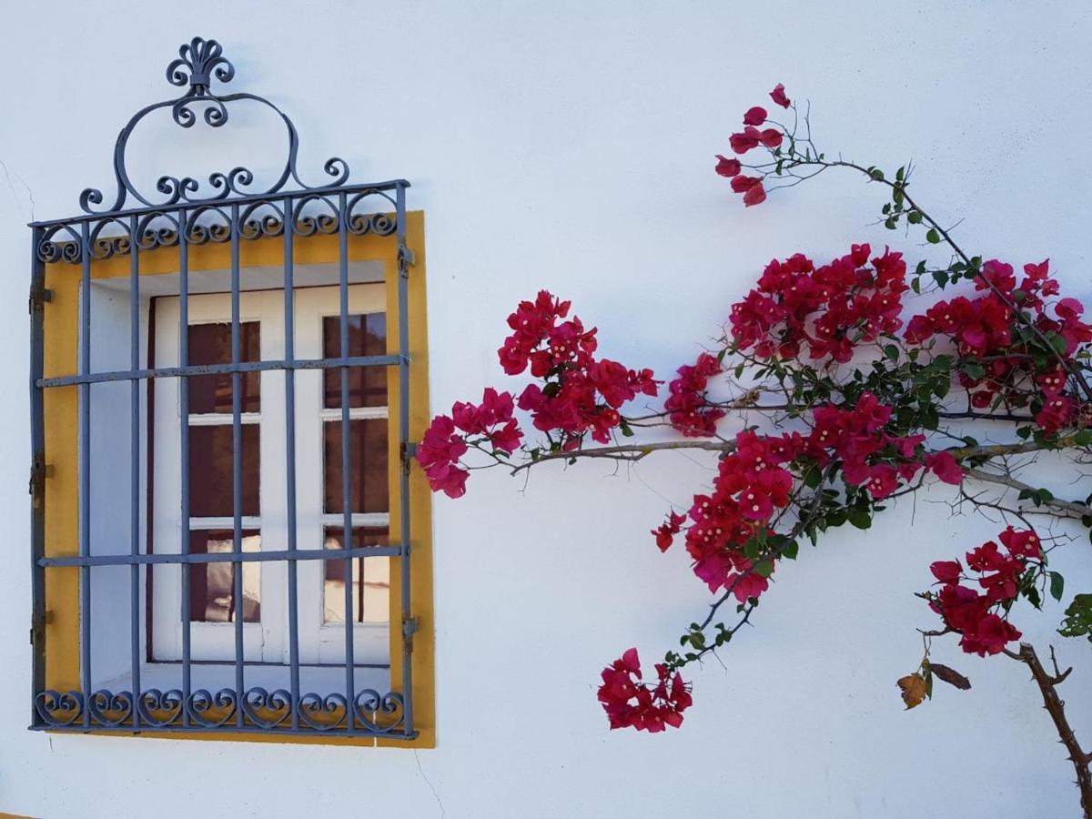 Quinta De Evoramonte Βίλα Estremoz Εξωτερικό φωτογραφία