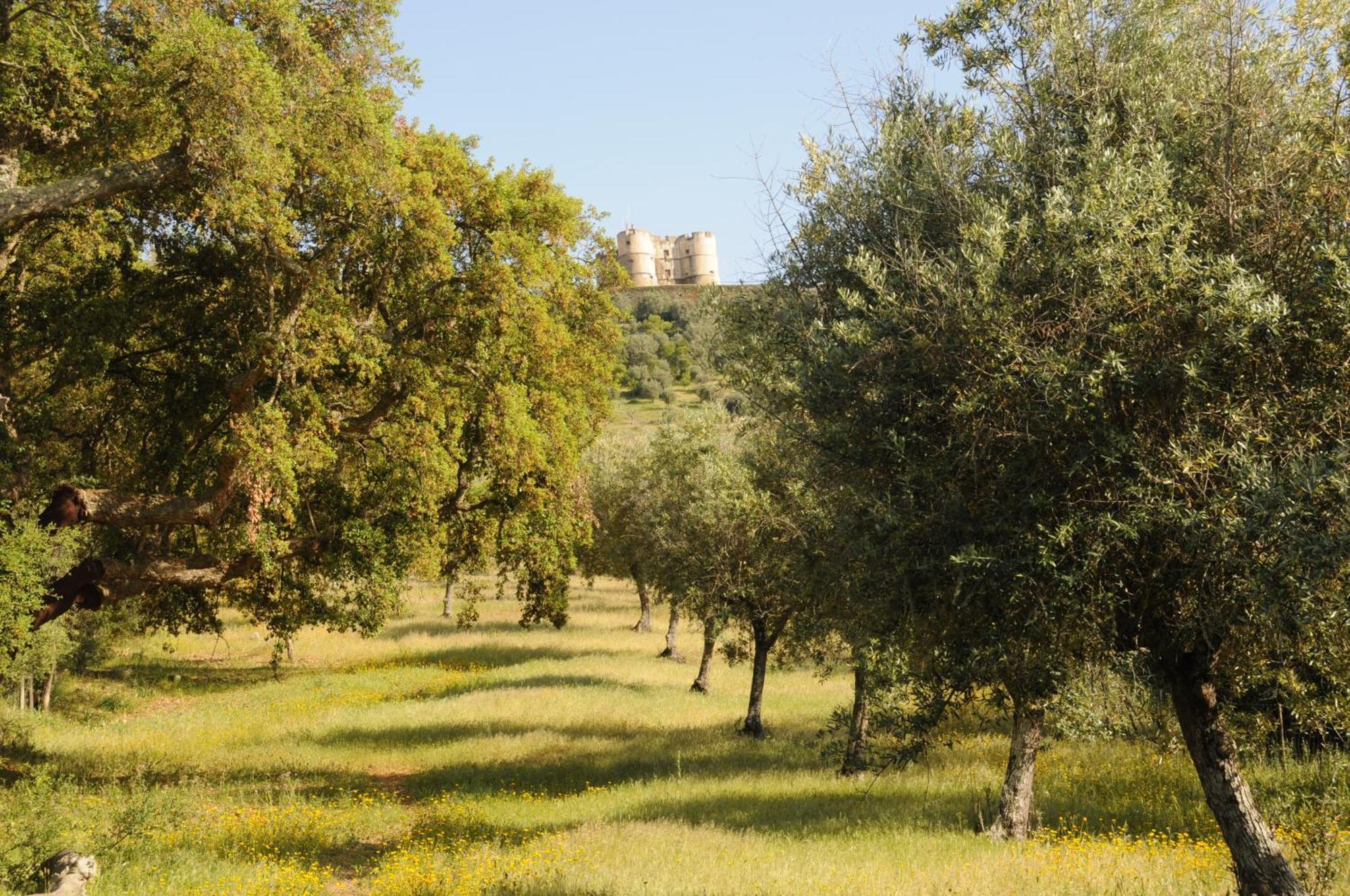 Quinta De Evoramonte Βίλα Estremoz Εξωτερικό φωτογραφία